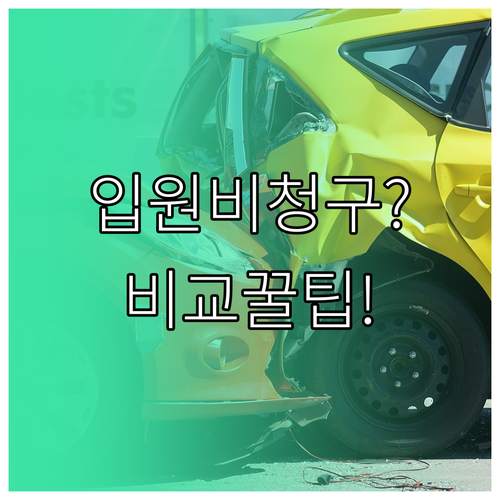 반려견 입원비 보험 청구부터 인기 상..
