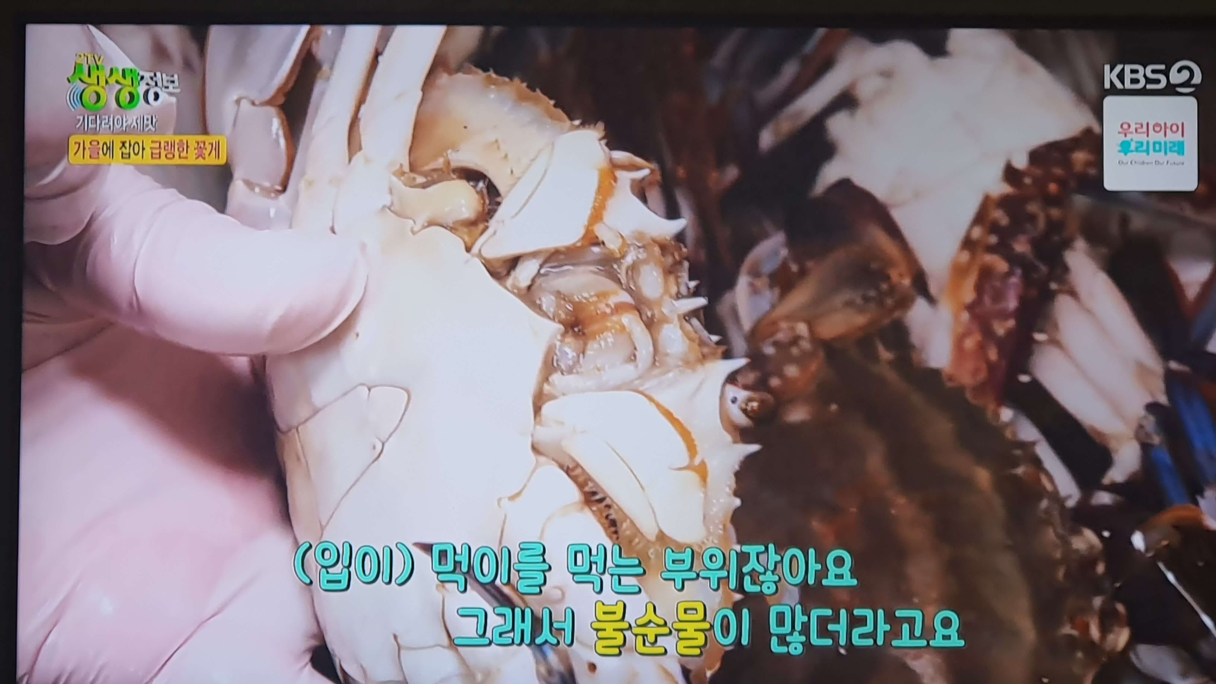 생생 정보통 맛집 맛의 비결