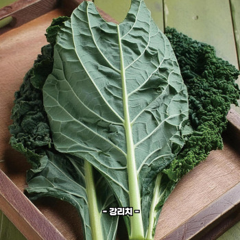 루테인 많은 음식