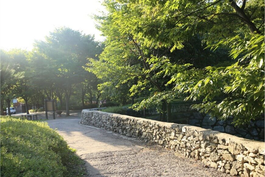 용인휴양림사진