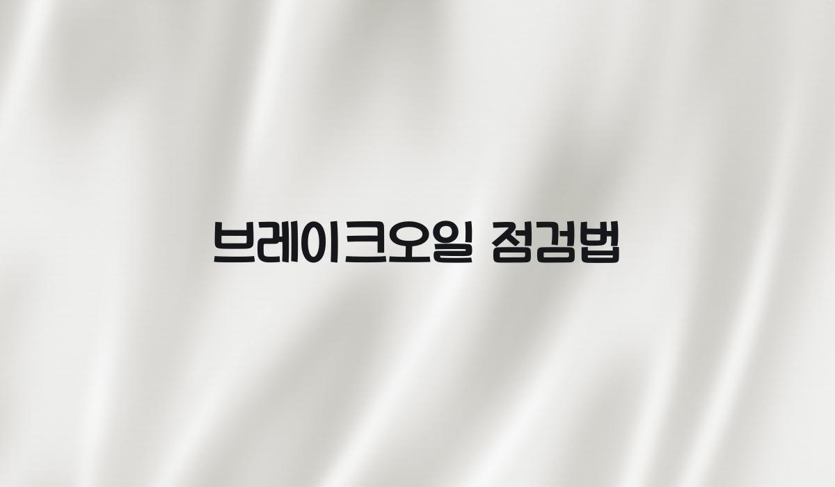 브레이크오일점검법