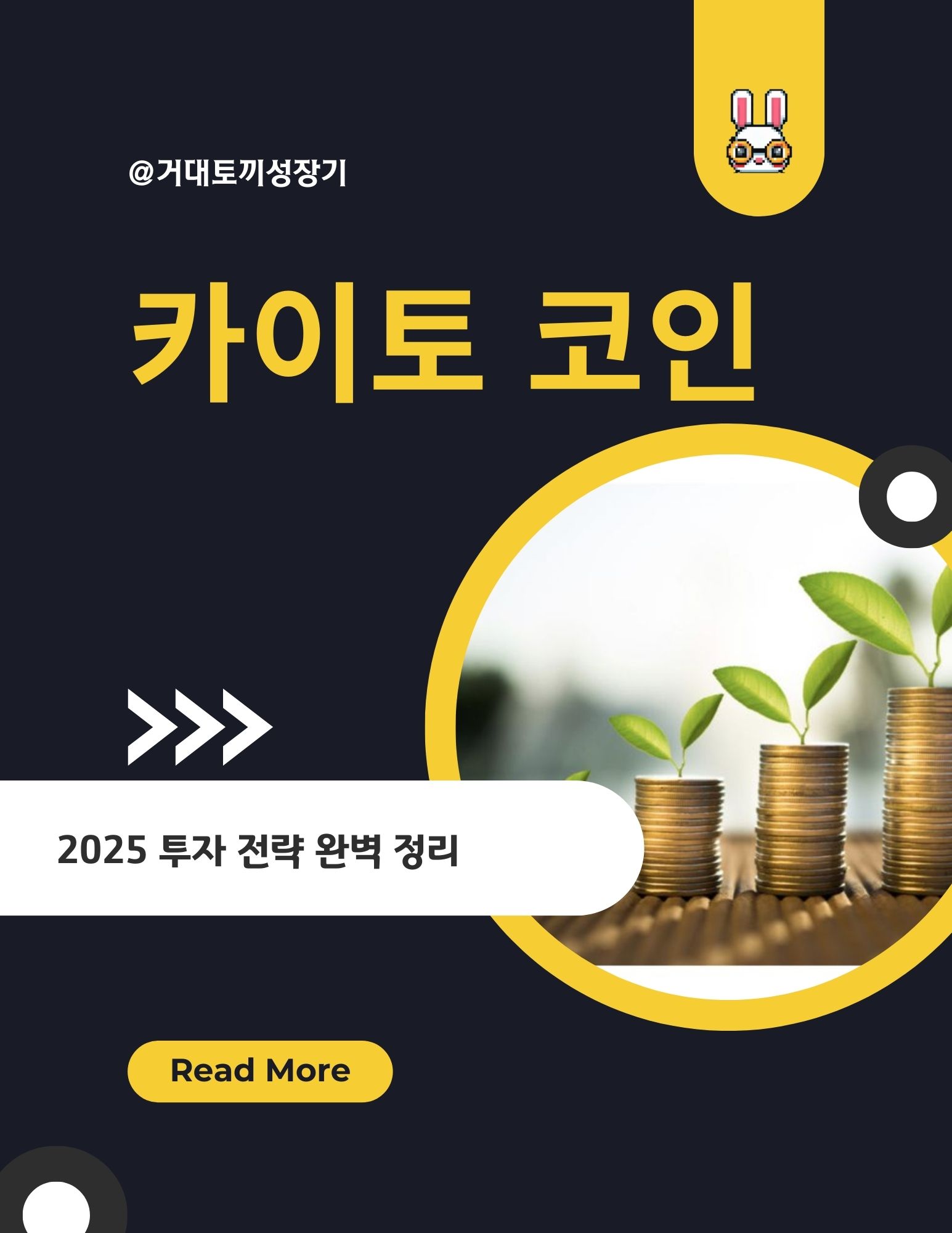 kaito coin