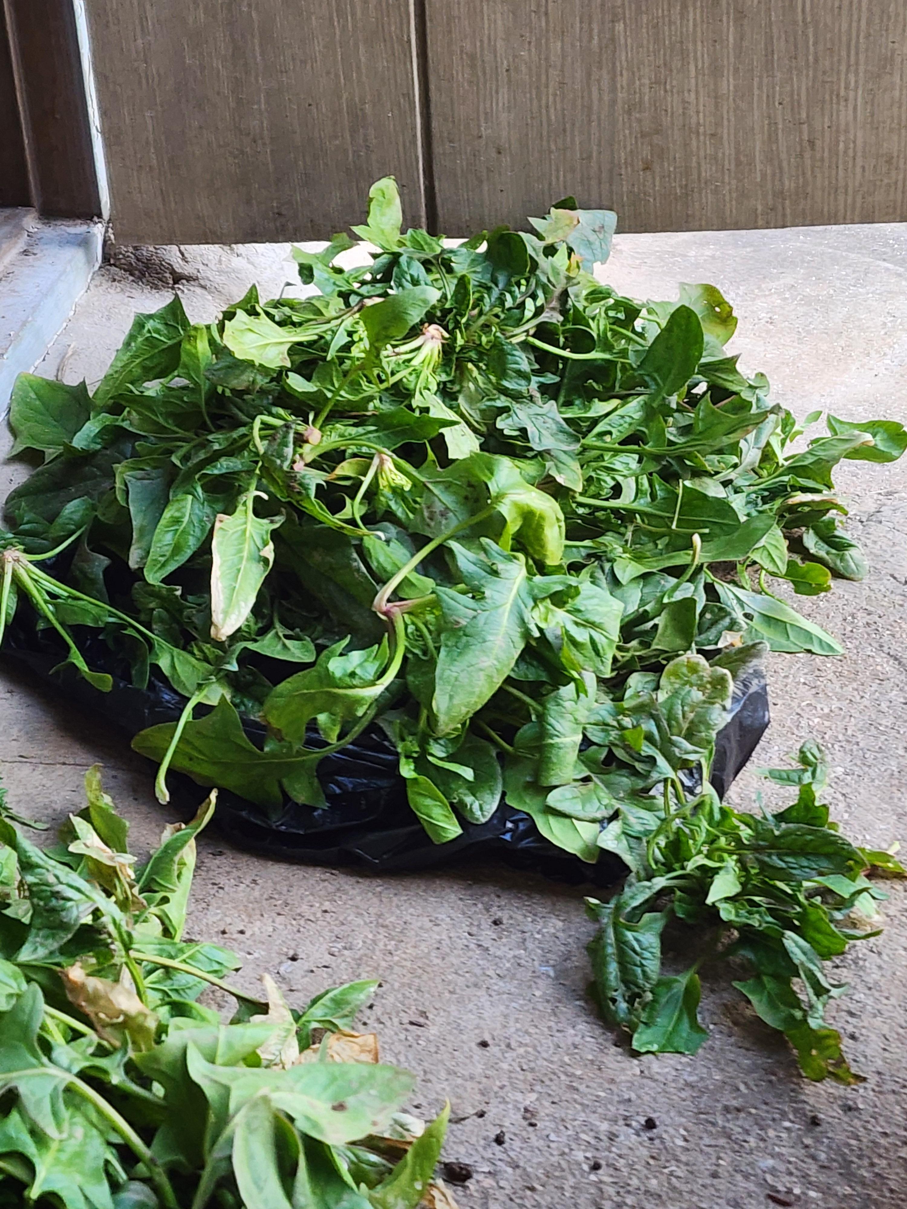 Alt 속성 문제 해결 설명 이미지