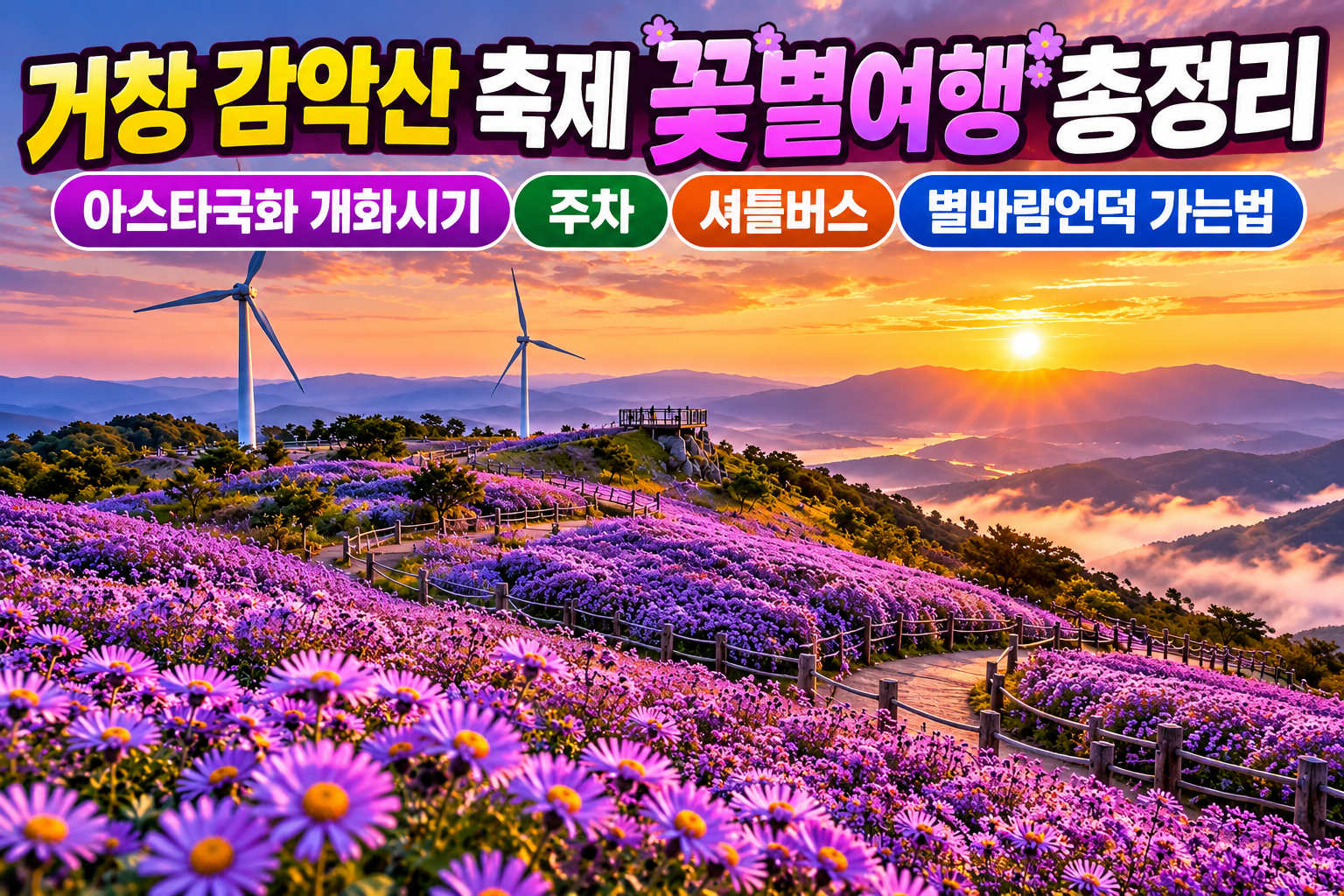 거창 감악산 축제 꽃별여행 총정리|아스타국화 개화시기·주차·셔틀버스·별바람언덕 가는법 관련 사진