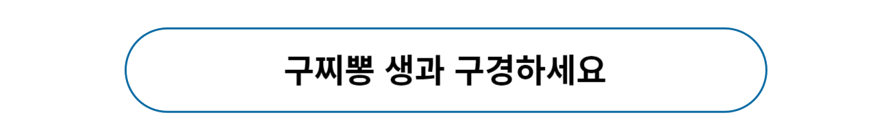 구찌뽕 효능 열매 먹는 법