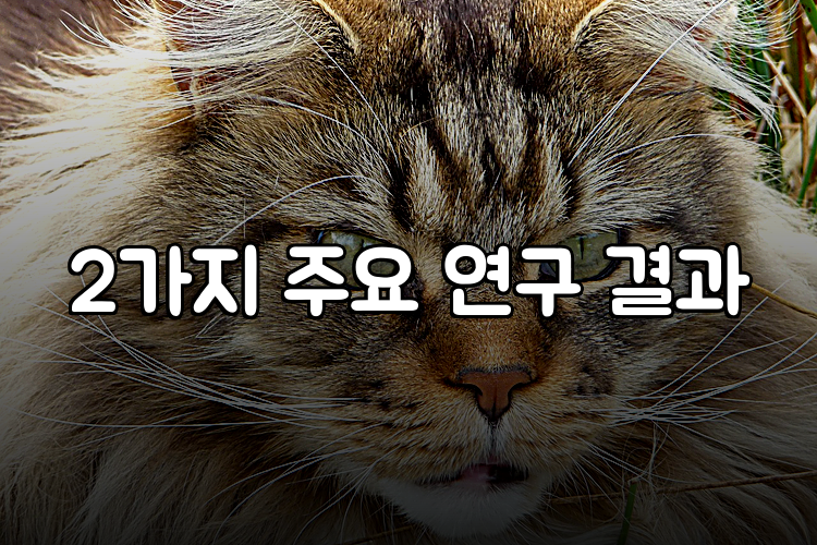 2가지 주요 연구 결과