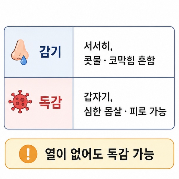 감기는 콧물과 코막힘이 흔하고 독감은 갑작스러운 몸살과 피로가 나타날 수 있음을 설명한 이미지