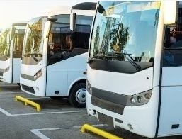 제주 151번 버스 노선 및 타는 곳