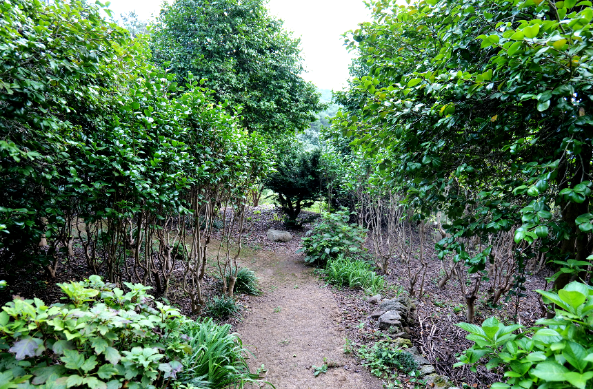 특색 있고 아름다운 민간 정원 30선 추천 여행 - 24. 통영 해솔찬정원