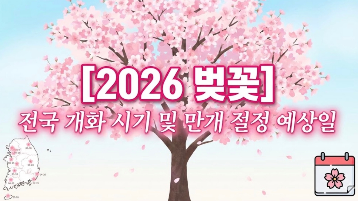 2026-전국-벚꽃-개화-시기