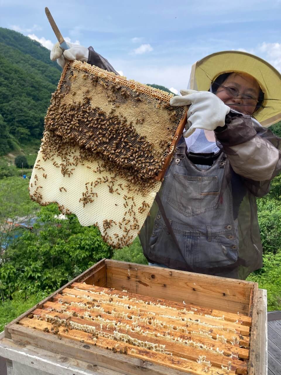 6시내고향 충북 괴산 5無 산림양봉의 명품 꿀 주문방법 사계닮은꿀 &amp; 허니버블공방 꿀비누 주문방법