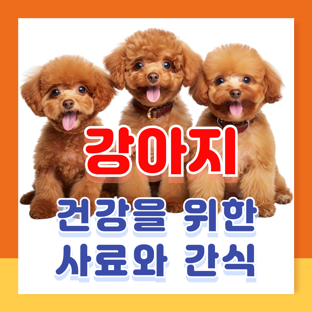강아지 사료 추천 간식 선택 가이드