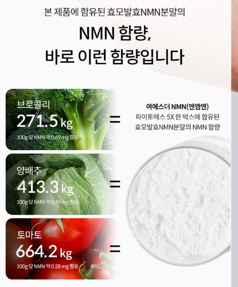 효모NMN 여에스더 NMN