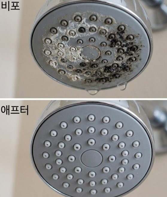 매일 쓰는 샤워기 구멍 속 '검은 곰팡이'? 비닐봉지와 식초로 10분 만에 싹 빼는 법