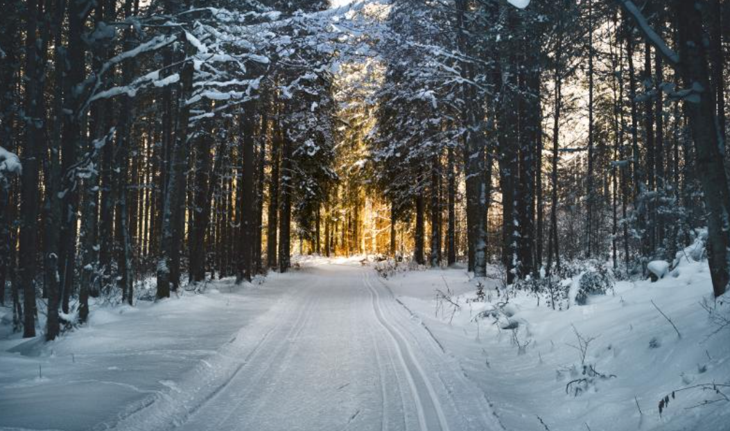 제주도 날씨 예보