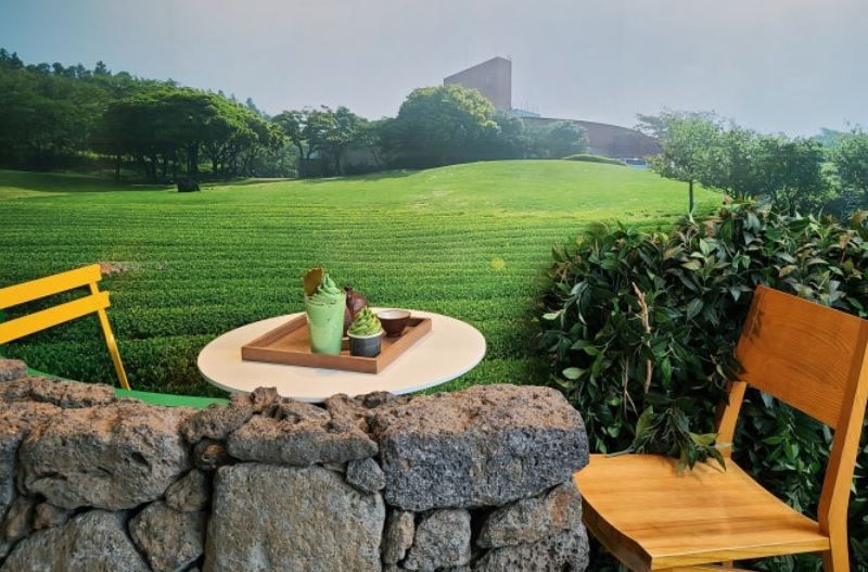 렌터카 없이도 즐기는 3박4일-오설록