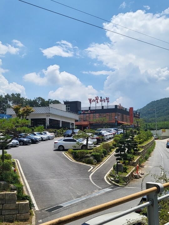 복사꽃피는집 대전점 앞2