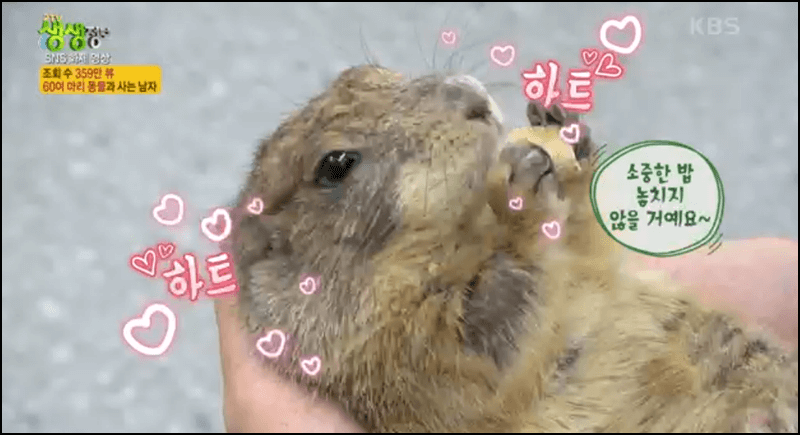 생생정보 수달동물원 안내