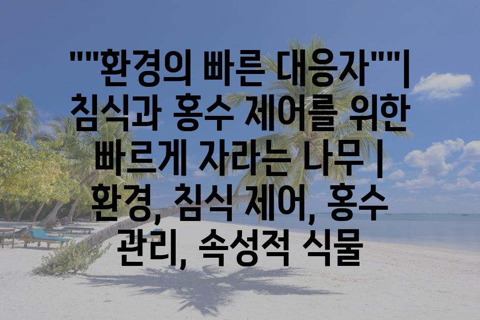 샘플 (79)