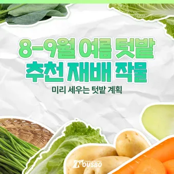 8월에 심는 밭작물 모종 채소 재배법 알아보기_26