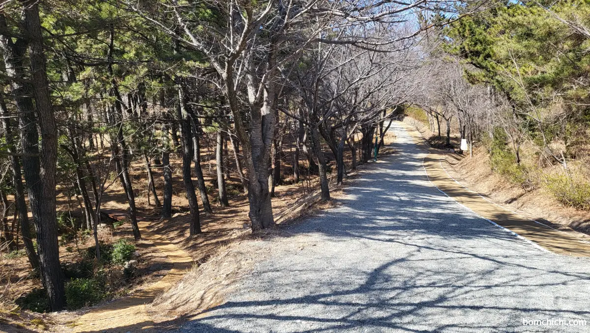 부산 해운대 장산 성불사 산책로 사진