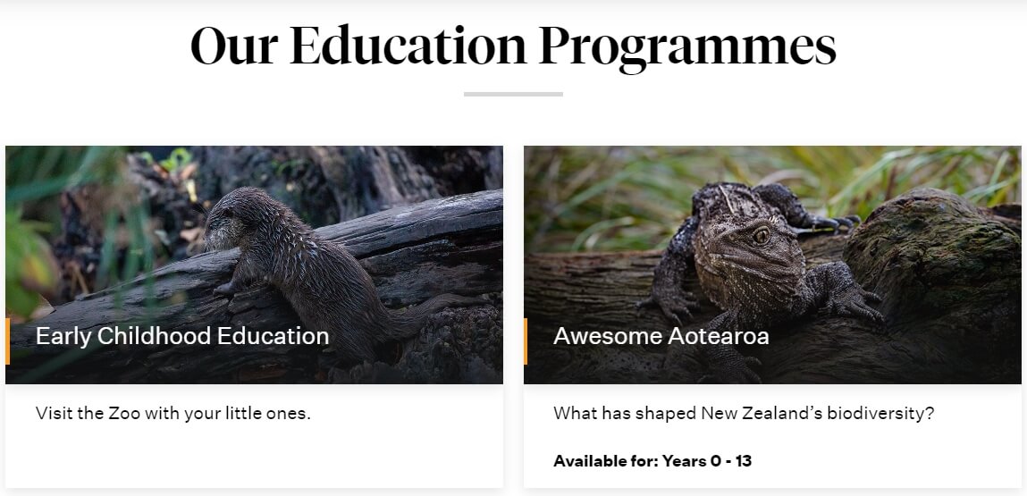 오클랜드 동물원 교육프로그램 출처 aucklandzoo.co.nz