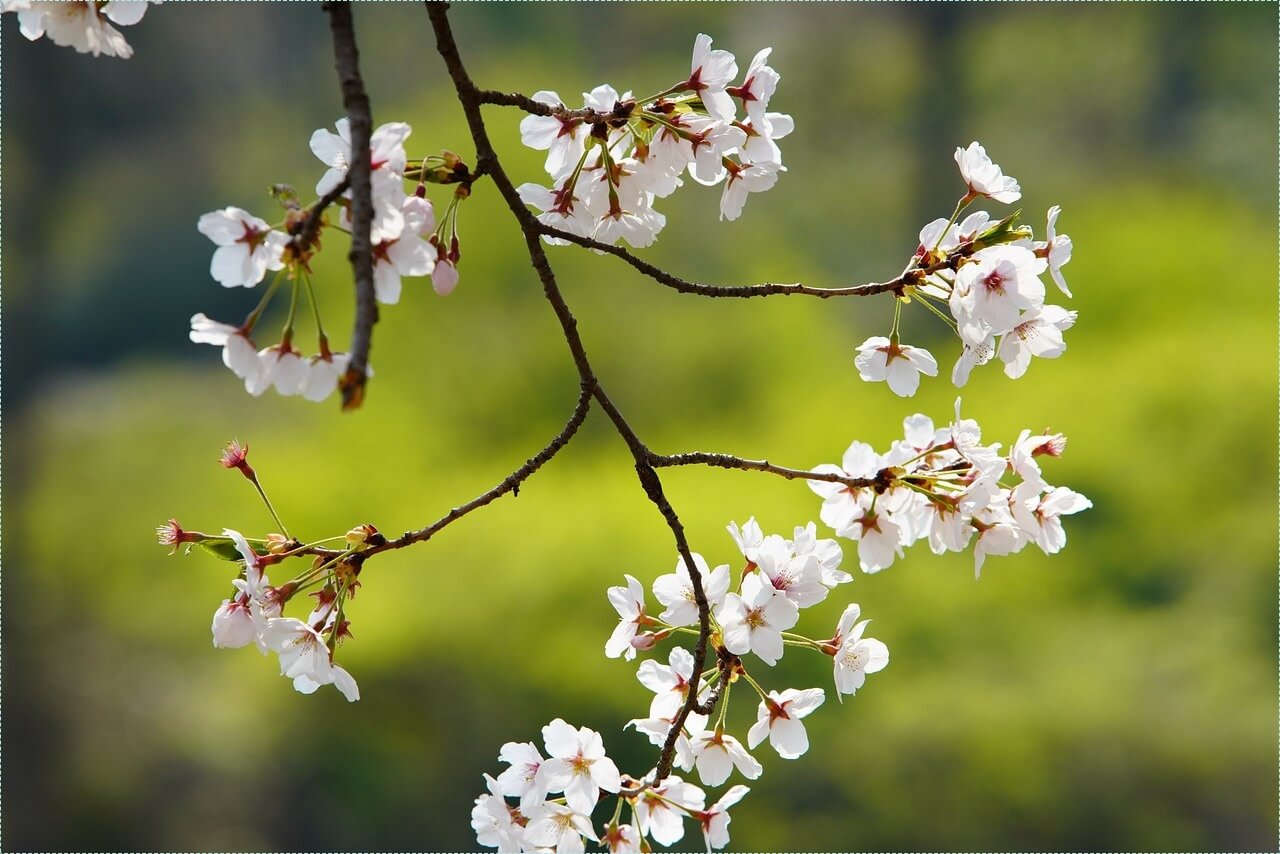 은행 적금 이자 높은곳