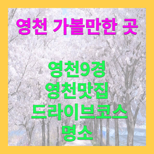 영천가볼만한 곳