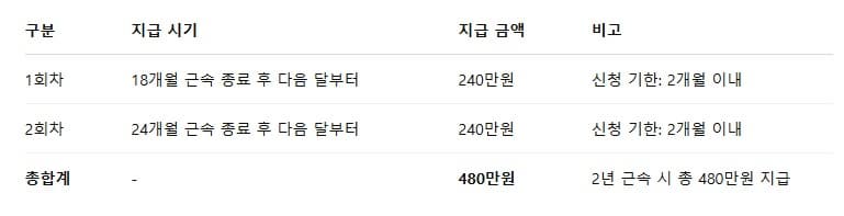 2025년 청년 일자리 도약 장려금 완벽 가이드: 혜택부터 신청 방법까지