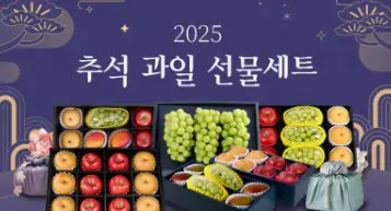 2025 추석 선물 추천 롯데 신세계 현대백화점 행사 총정리