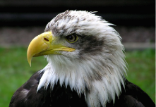 미국 노스다코타주 주요 특징