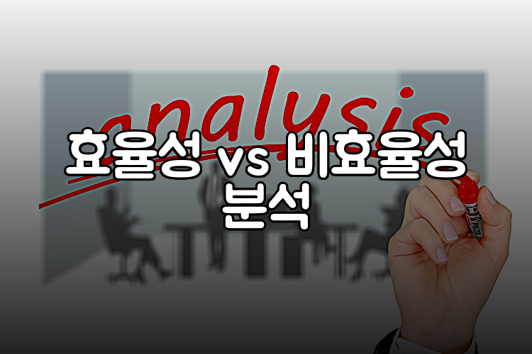 효율성 vs 비효율성 분석