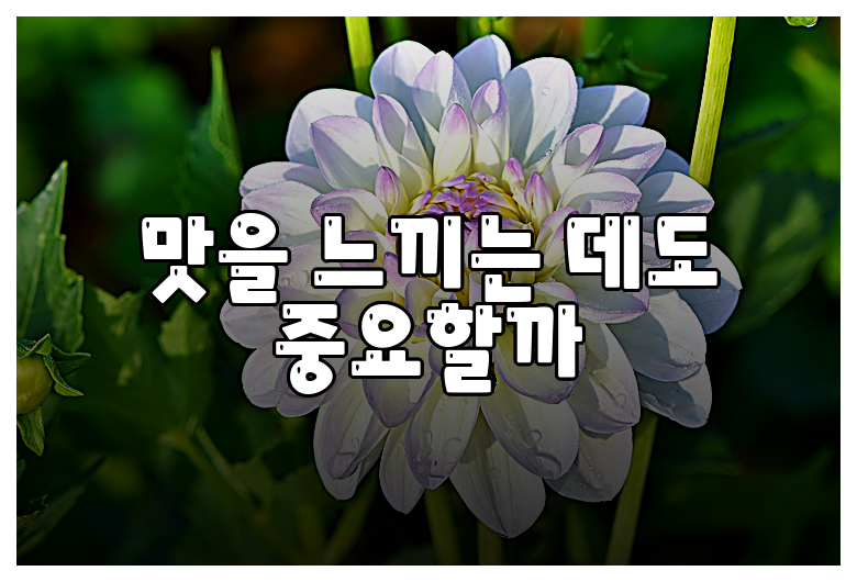 맛을 느끼는 데도 중요할까