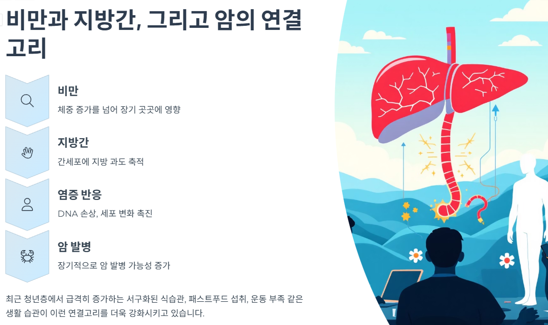 비만과 지방간, 그리고 암의 연결고리