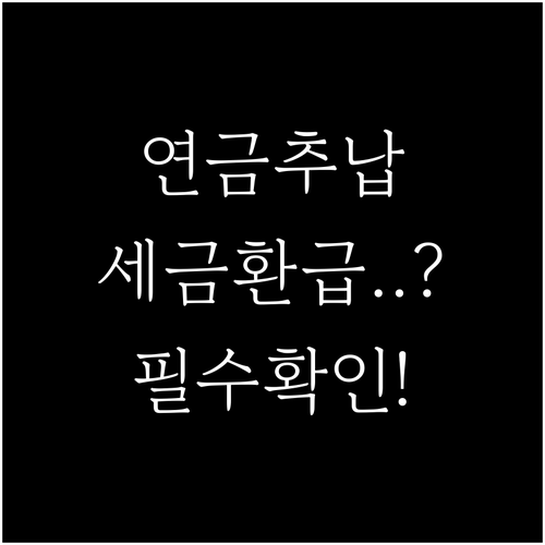 국민연금 추납 소득공제 확인서 인터넷..