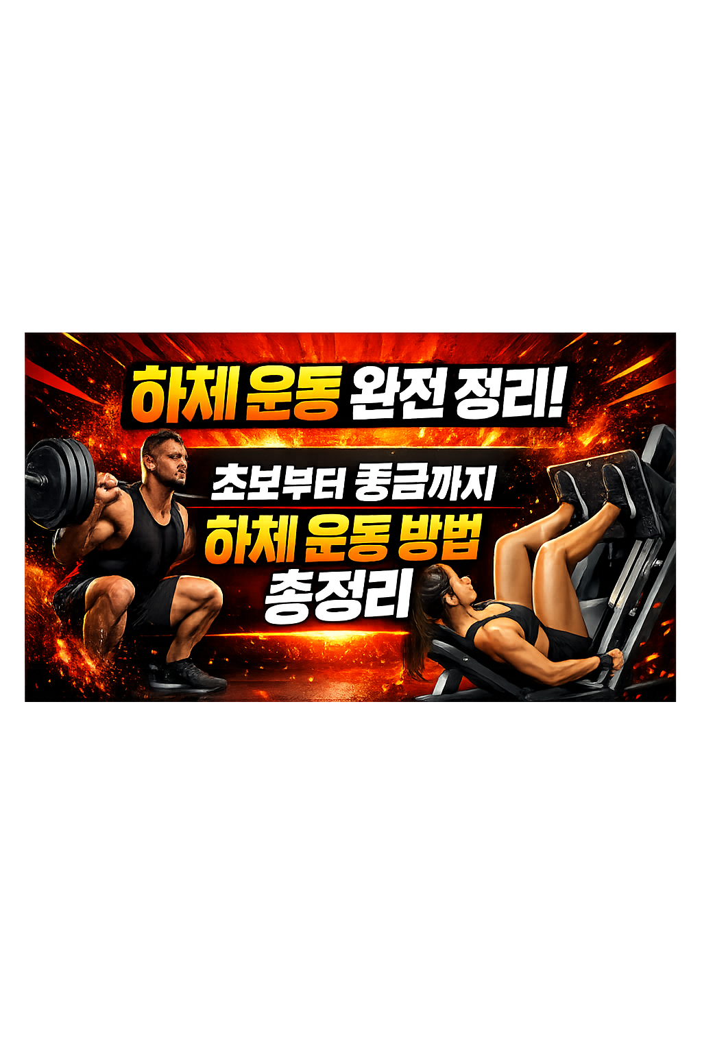 하체 운동 완전 정리