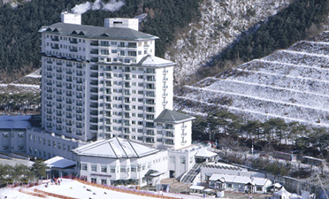 전국 스키장 개장일