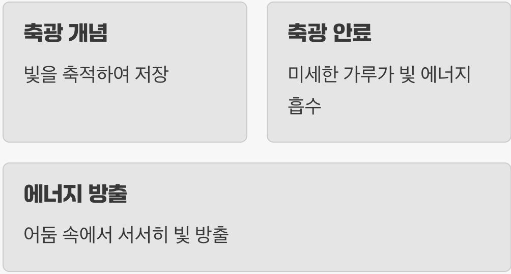 빛을 먹고 자라는 페인트