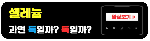 셀레늄-올바로-섭취하는방법