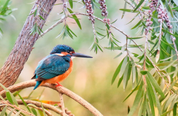 검버섯이 생기는 이유 총정리 8