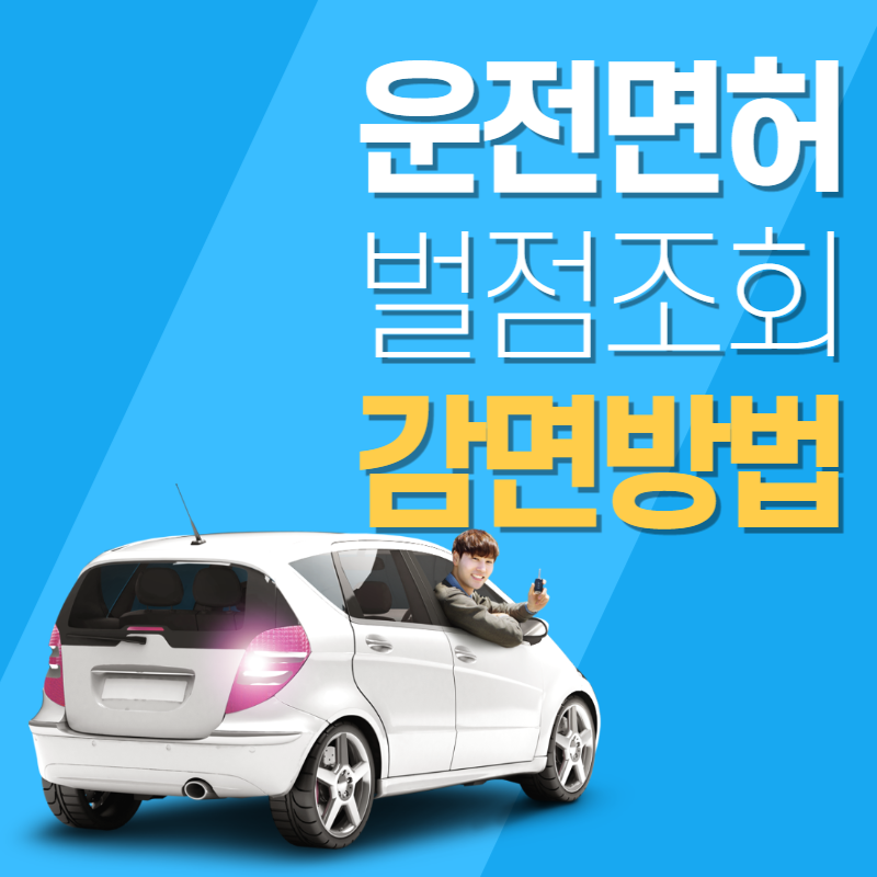 운전면허 벌점조회