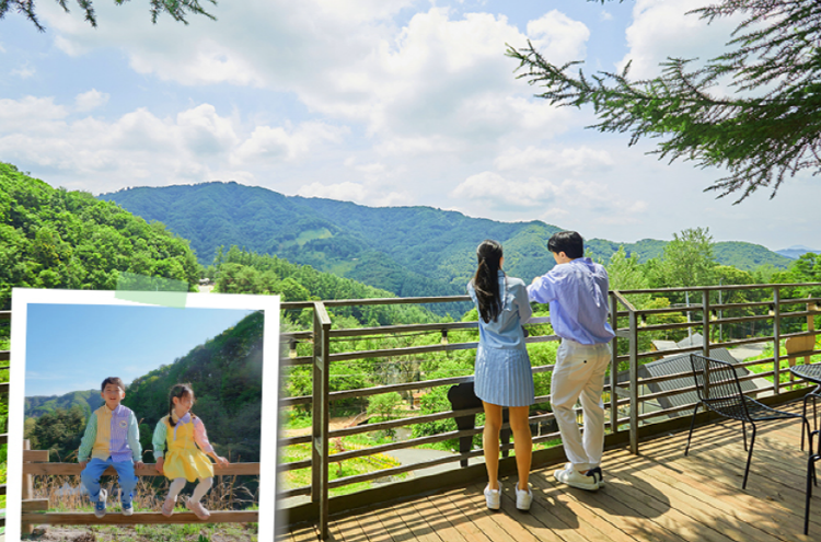 홍천 알파카월드