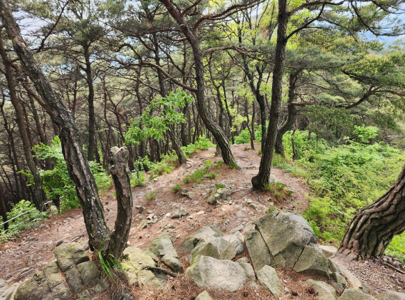 경사