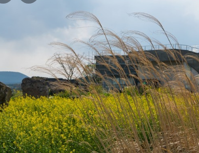 11월 국내여행지 추천 BEST 10