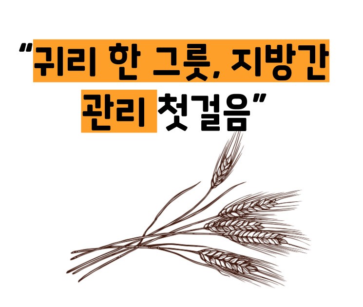 지방간에 좋은 음식 10