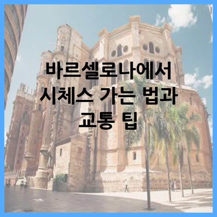 바르셀로나에서 시체스 가는 법과 교통 팁