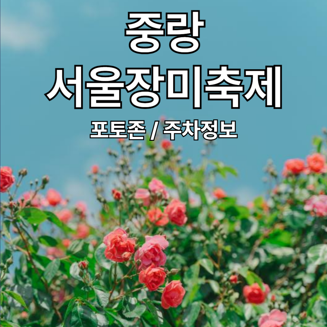 중랑 서울장미축제