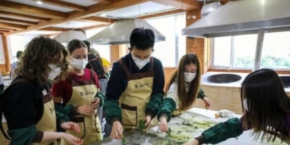 지방소멸대응기금 사용처 모음