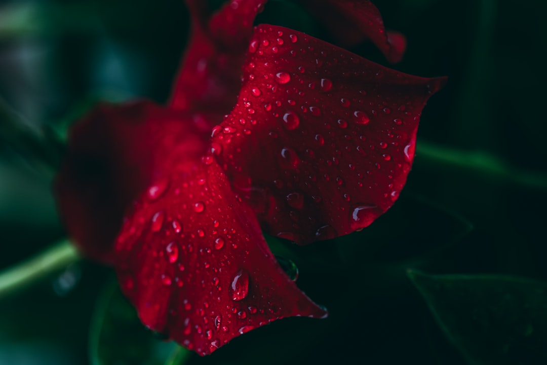 Moisture