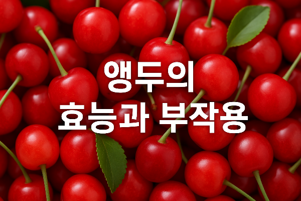 앵두의 효능과 영양소 및 부작용 알아보기